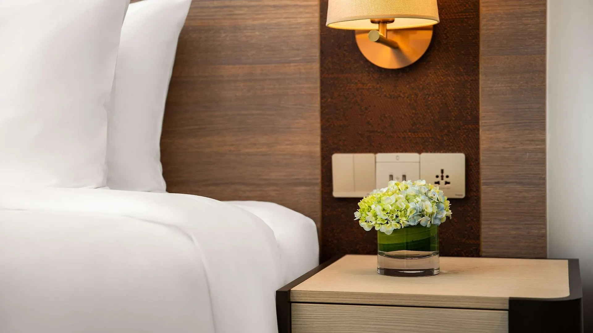 Park Plaza Gurgaon Hotel